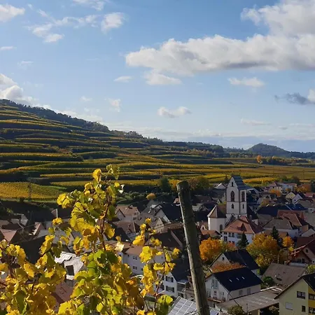 Steinkauz Vogtsburg