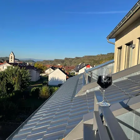 Steinkauz Vogtsburg