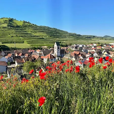 Lejlighed Steinkauz Vogtsburg