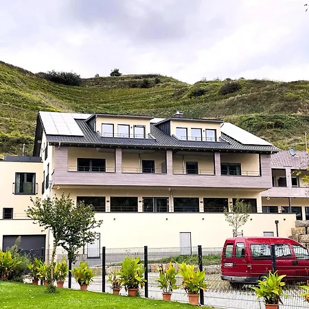 Steinkauz * Vogtsburg